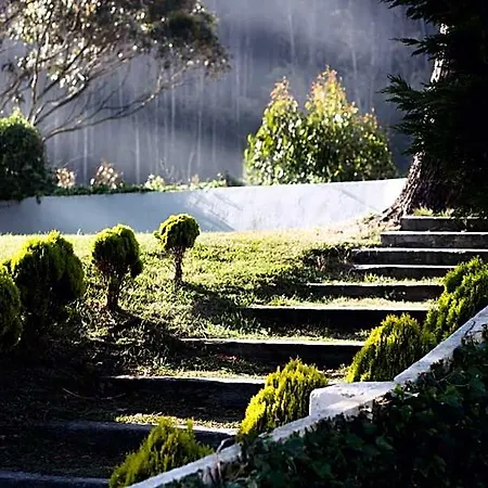 Mirador De