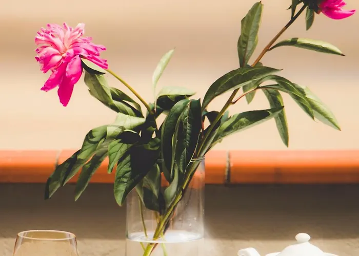 Mirador De La Franca